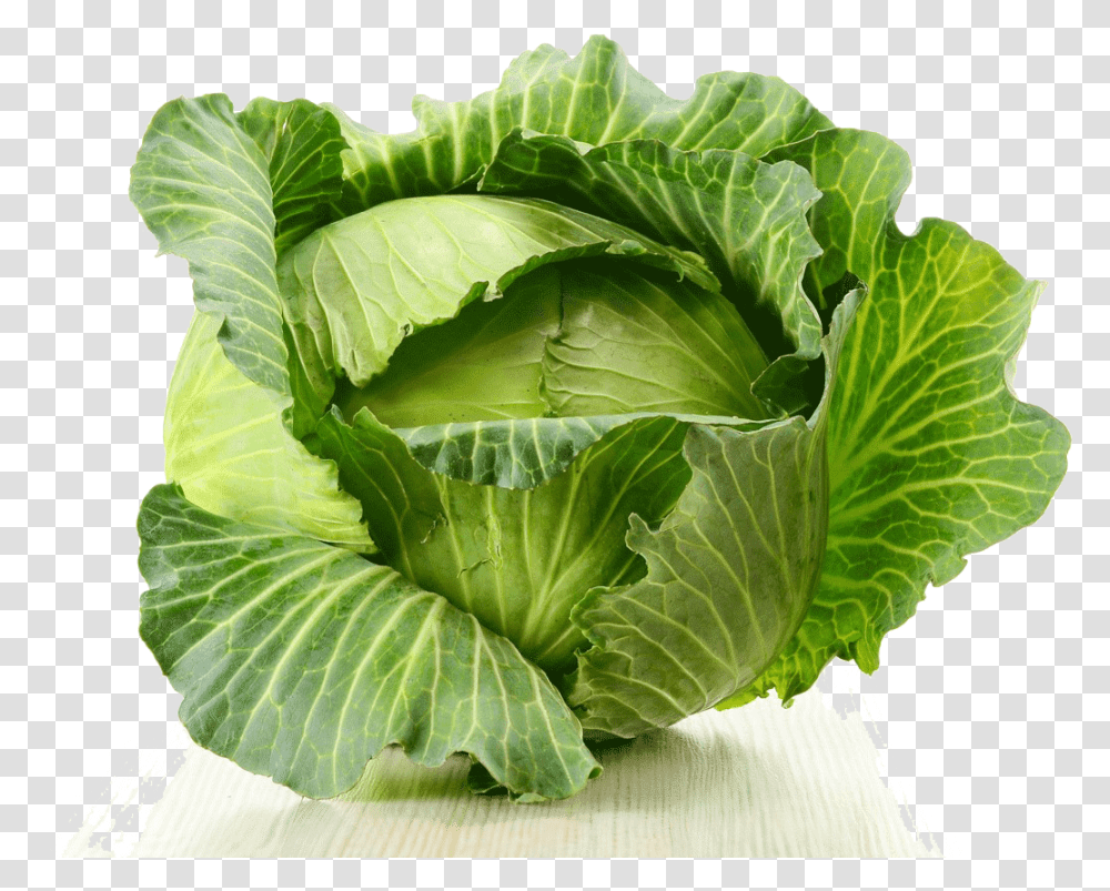 Cabbage Image Kapusta Gif, Plant, Vegetable, Food, Head Cabbage Transparent Png