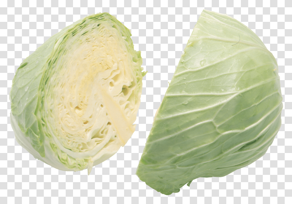 Cabbage Image Without Background Cabbage, Plant, Vegetable, Food, Head Cabbage Transparent Png
