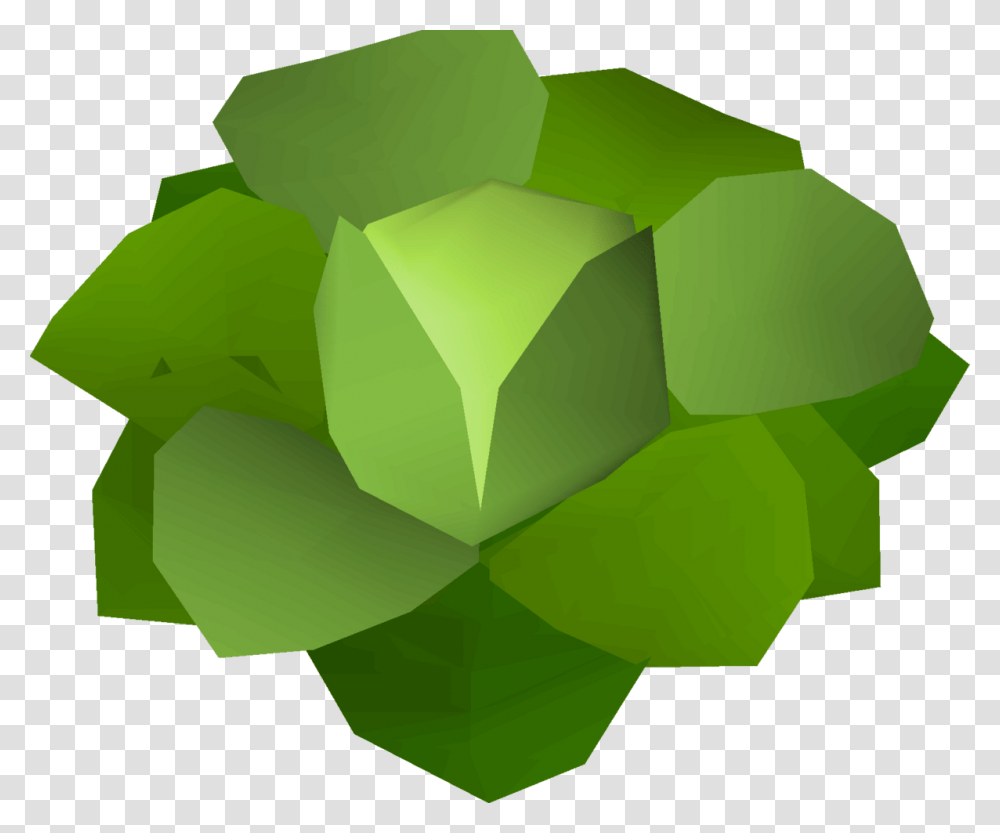 Cabbage Osrs, Green, Plant, Vegetable, Food Transparent Png