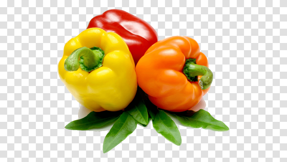 Cabbage Pepper, Plant, Vegetable, Food, Bell Pepper Transparent Png