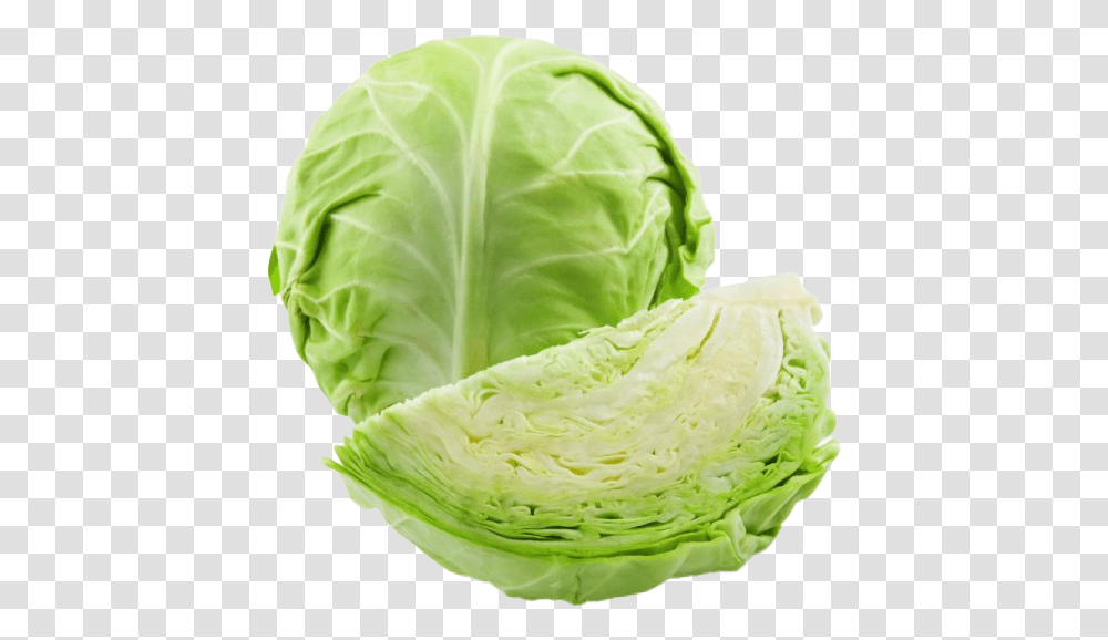 Cabbage Photos Green Cabbage, Plant, Vegetable, Food, Head Cabbage Transparent Png