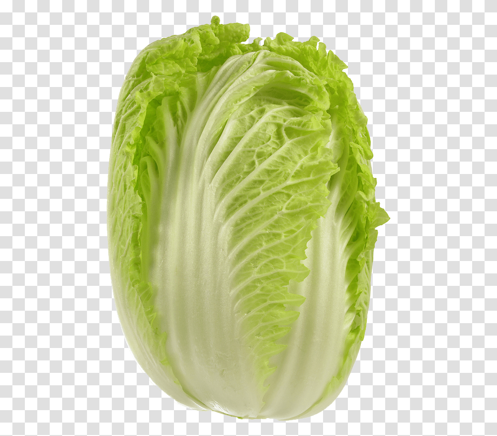 Cabbage Picture Wong Bok Cabbage, Plant, Vegetable, Food, Pineapple Transparent Png