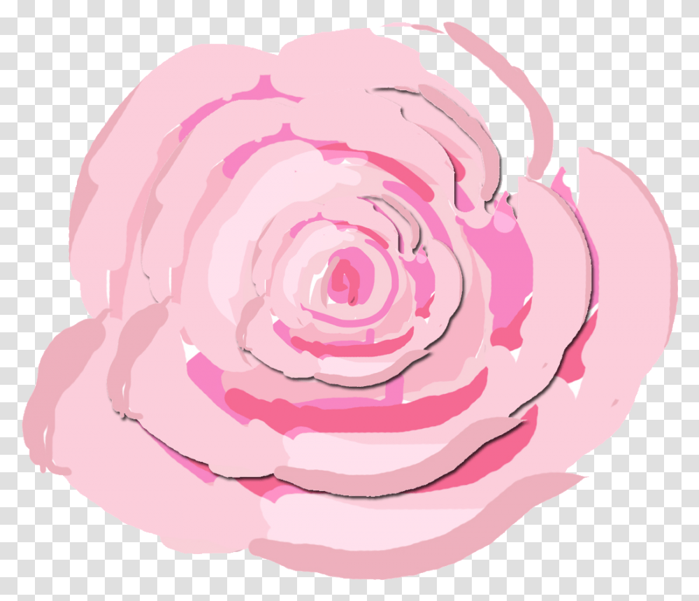 Cabbage Roses Painting, Flower, Plant, Blossom, Petal Transparent Png