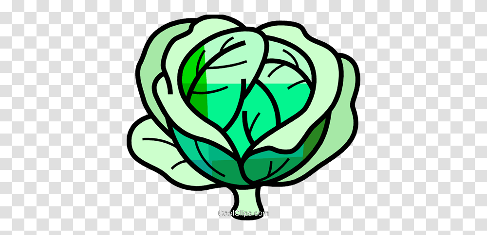 Cabbage Royalty Free Vector Clip Art Illustration, Plant, Painting, Food Transparent Png