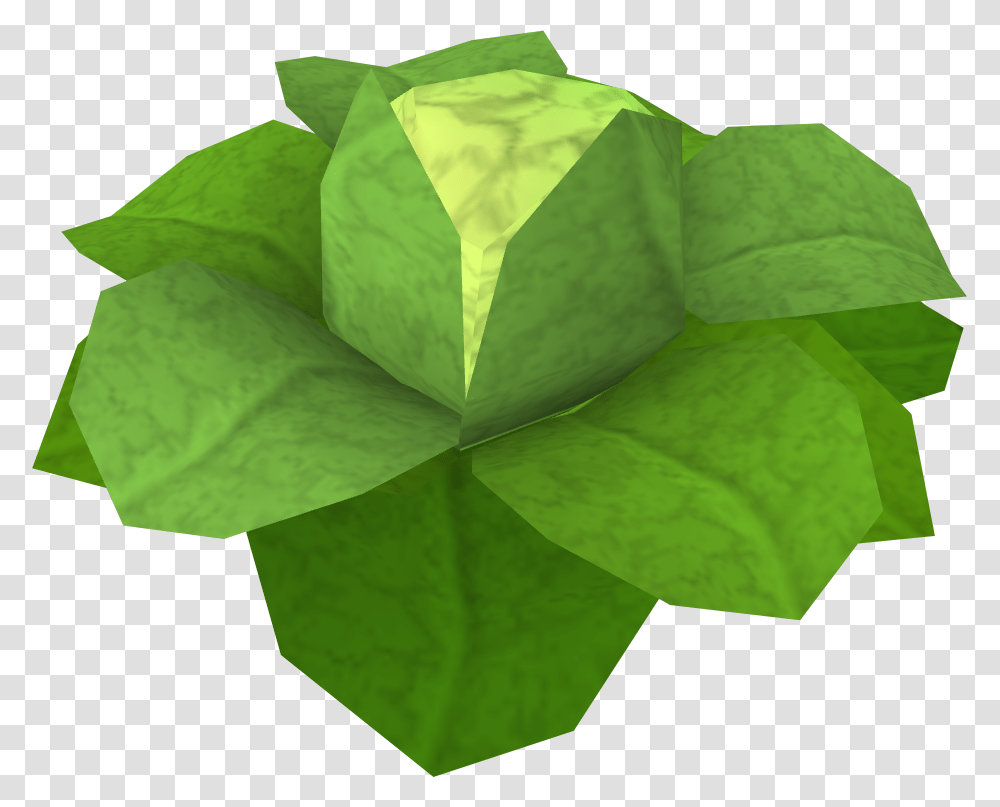 Cabbage Rs, Plant, Vegetable, Food, Leaf Transparent Png