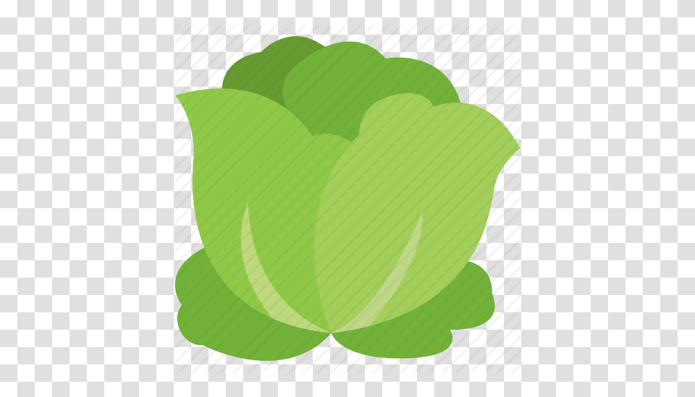 Cabbage Salad Vegetable Icon, Green, Plant, Leaf, Food Transparent Png