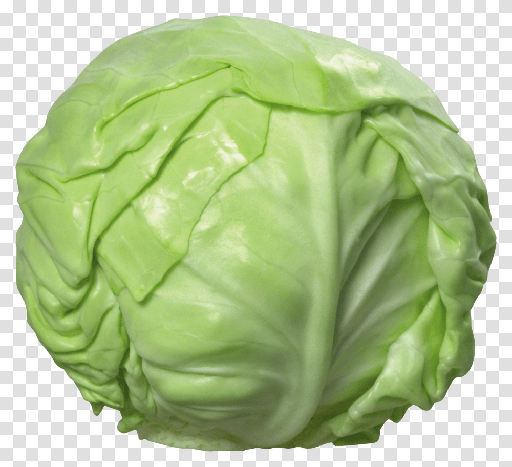 Cabbage Transparent Png