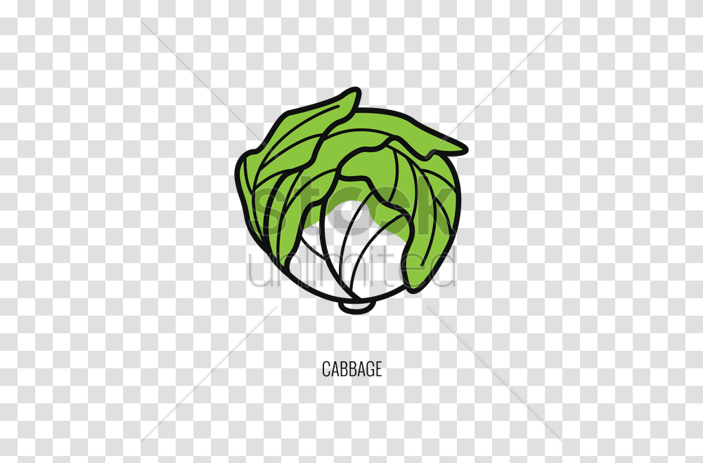 Cabbage Vector Image, Sport, Face, Plant, Hand Transparent Png
