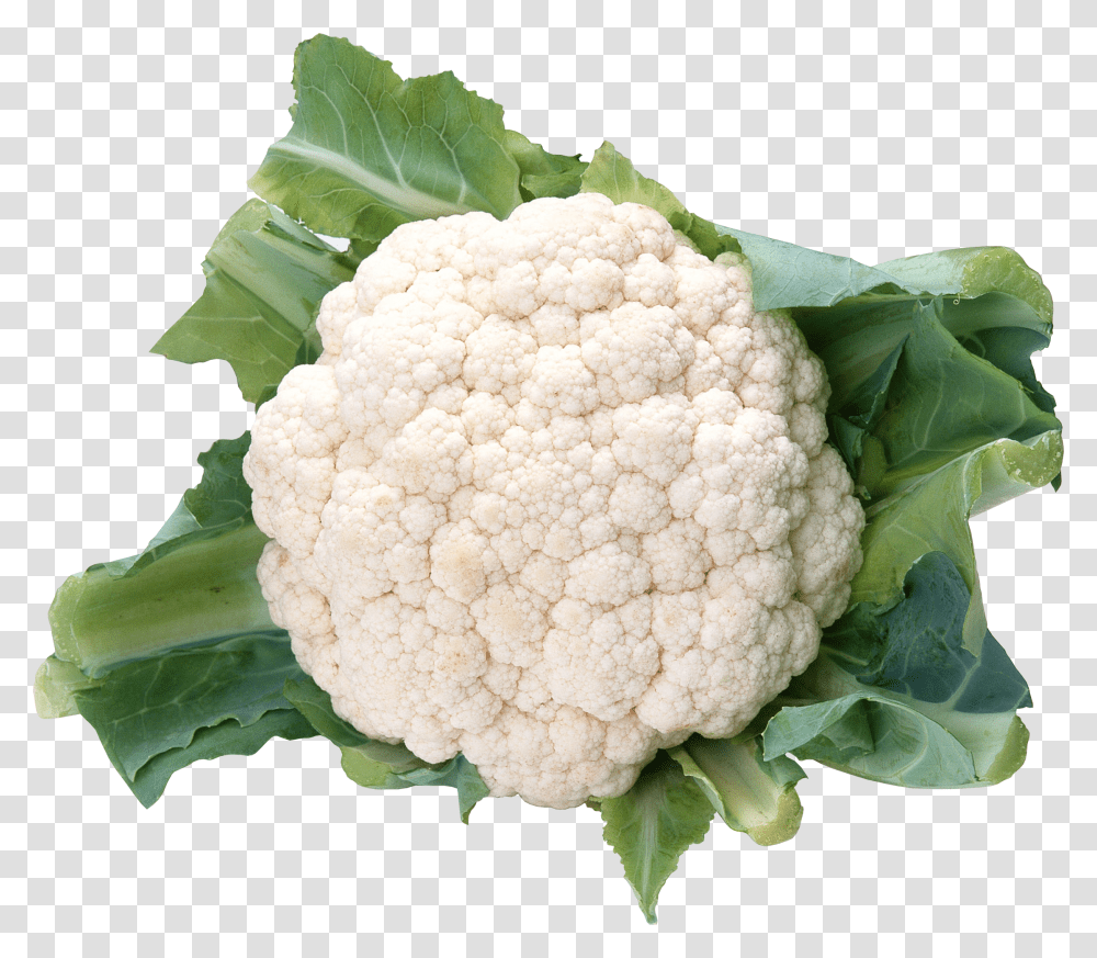 Cabbage, Vegetable, Plant, Cauliflower, Food Transparent Png