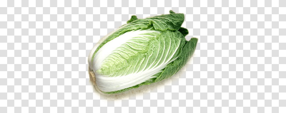 Cabbage, Vegetable, Plant, Food, Head Cabbage Transparent Png