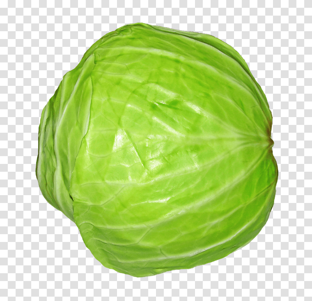 Cabbage, Vegetable, Plant, Head Cabbage, Produce Transparent Png