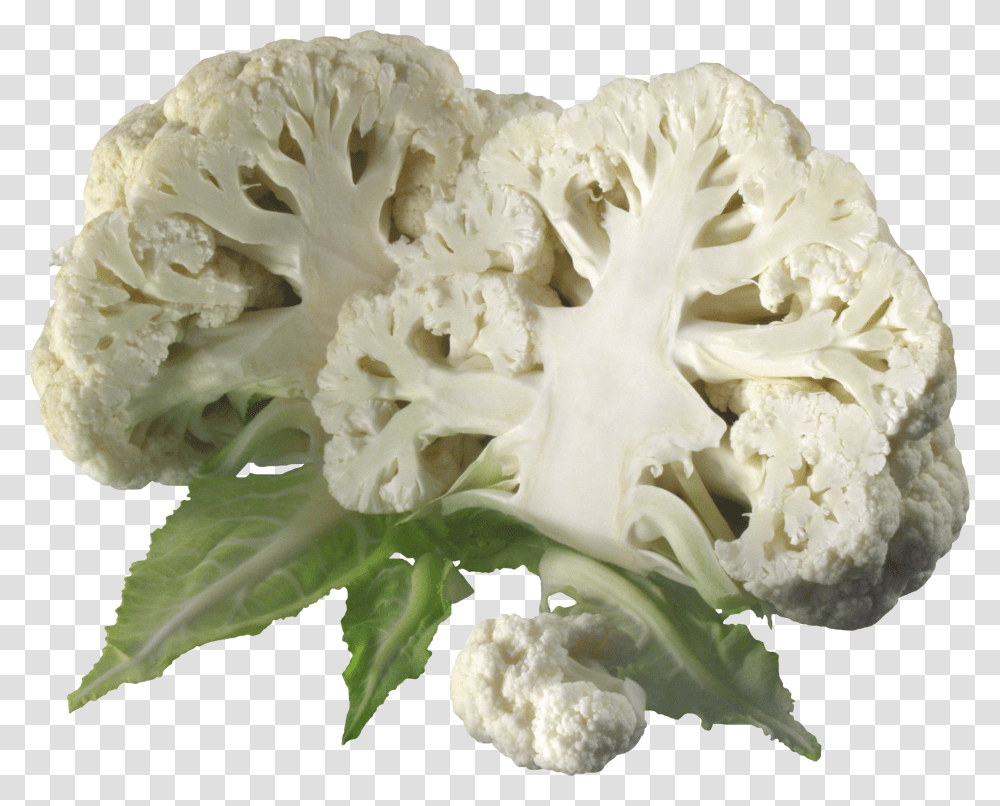 Cabbage, Vegetable Transparent Png
