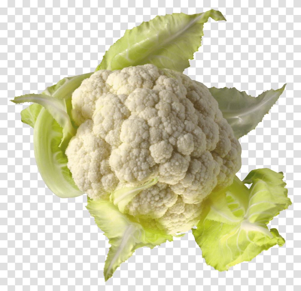 Cabbage, Vegetable Transparent Png