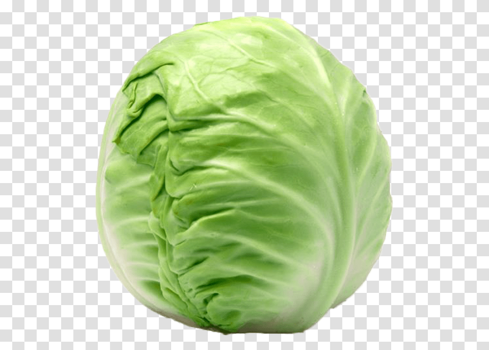 Cabbage Welcome To Grnsaksmstarna Vitt Kl, Plant, Vegetable, Food, Head Cabbage Transparent Png