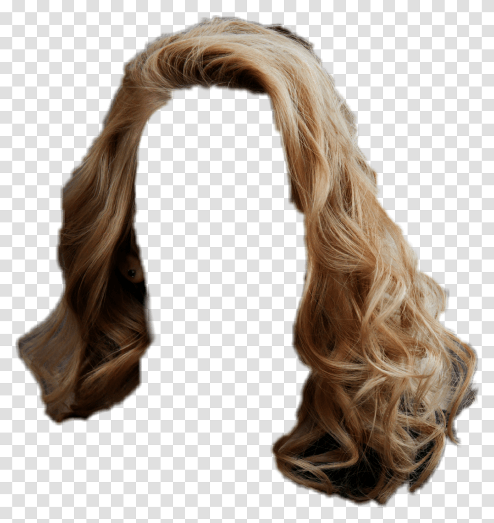 Cabelo Capelli Ricci Spazzola E Phon, Hair, Person, Human, Ponytail Transparent Png