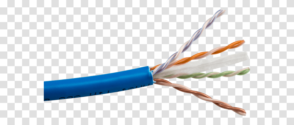 Cable Cat, Wiring, Wire, Bird, Animal Transparent Png