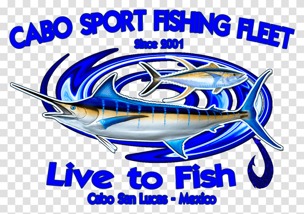 Cabo Sport Fishing Fleet Atlantic Blue Marlin Transparent Png