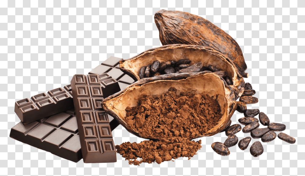 Cacao Chocolate And Cocoa Beans, Plant, Food, Fudge, Dessert Transparent Png