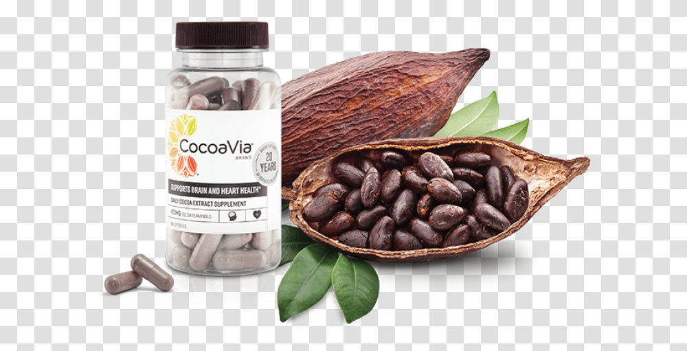 Cacao Chocolate Tree, Fudge, Dessert, Food, Plant Transparent Png