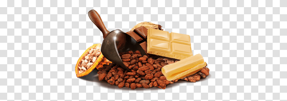 Cacao Chocolates De Cacao, Fudge, Dessert, Food, Cocoa Transparent Png