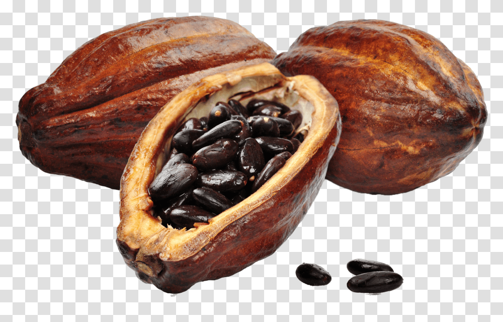 Cacao Free Download, Plant, Vegetable, Food, Bread Transparent Png