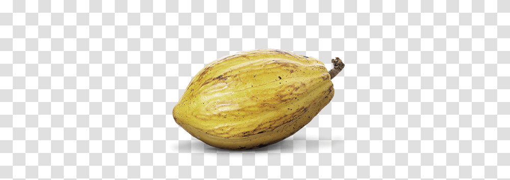 Cacao, Fruit, Banana, Plant, Food Transparent Png