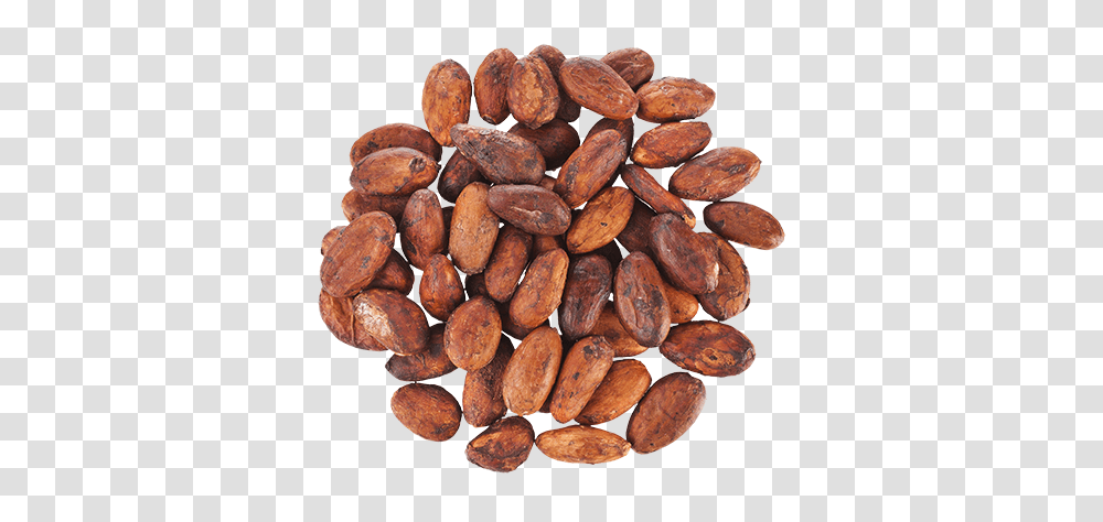 Cacao, Fruit, Fudge, Chocolate, Dessert Transparent Png