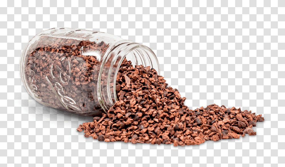 Cacao, Fruit, Jar, Snake, Plant Transparent Png