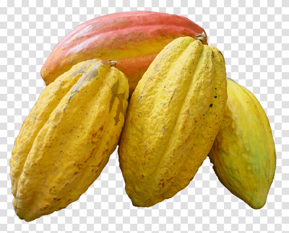 Cacao, Fruit, Plant, Food, Bread Transparent Png