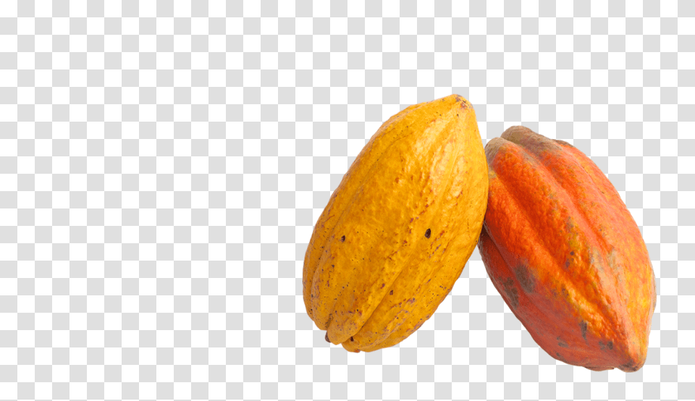 Cacao, Fruit, Plant, Food, Bread Transparent Png