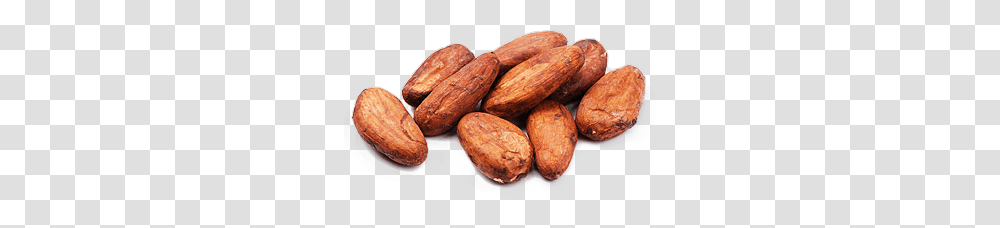 Cacao, Fruit, Plant, Food, Nut Transparent Png