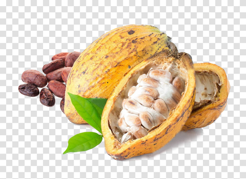 Cacao, Fruit, Plant, Food, Vegetable Transparent Png