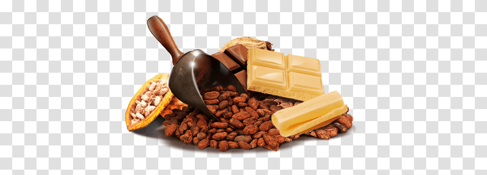 Cacao, Fruit, Plant, Fudge, Chocolate Transparent Png