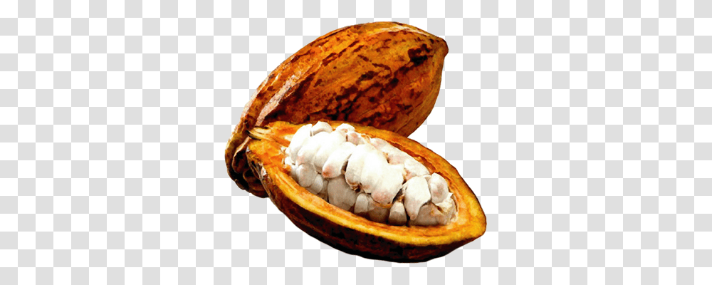 Cacao, Fruit, Plant, Nut, Vegetable Transparent Png