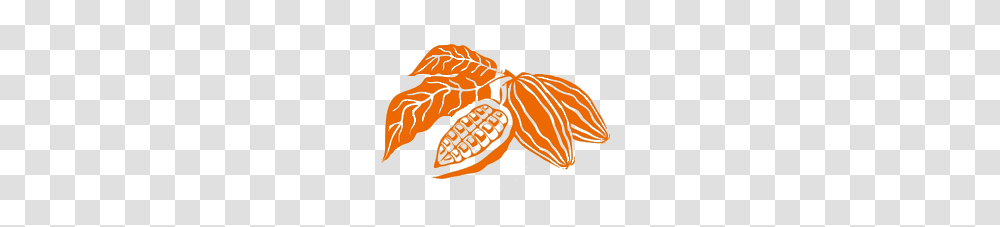 Cacao, Fruit, Plant, Pecan, Seed Transparent Png