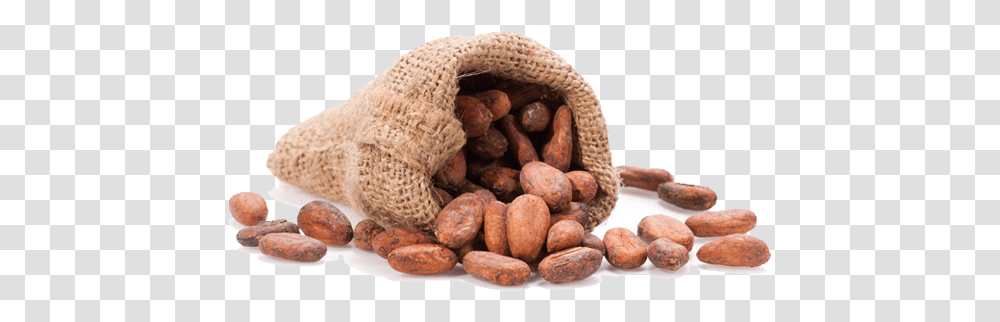 Cacao, Fruit, Plant, Vegetable, Food Transparent Png