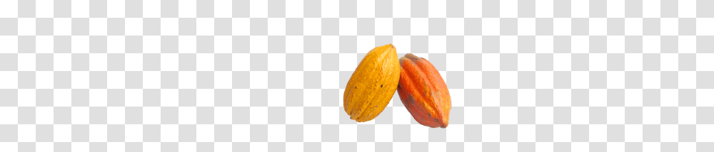 Cacao Image, Plant, Food, Fruit, Produce Transparent Png