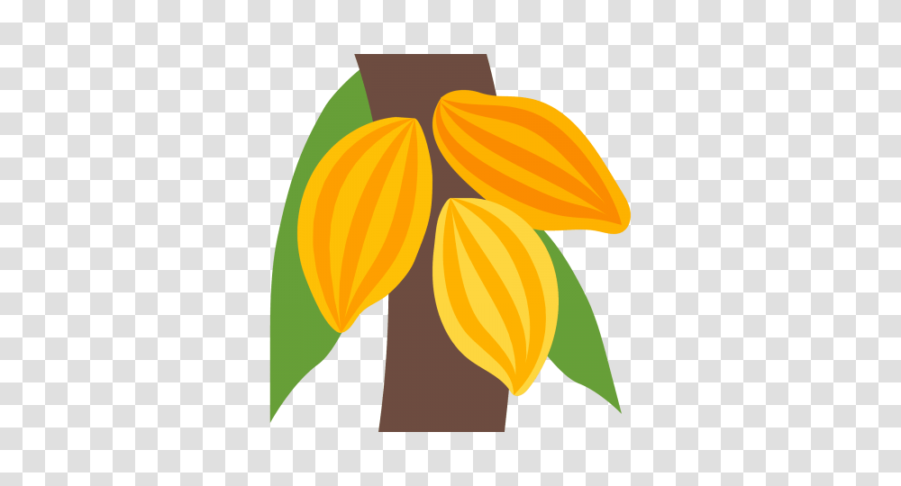 Cacao, Plant, Food, Flower, Blossom Transparent Png