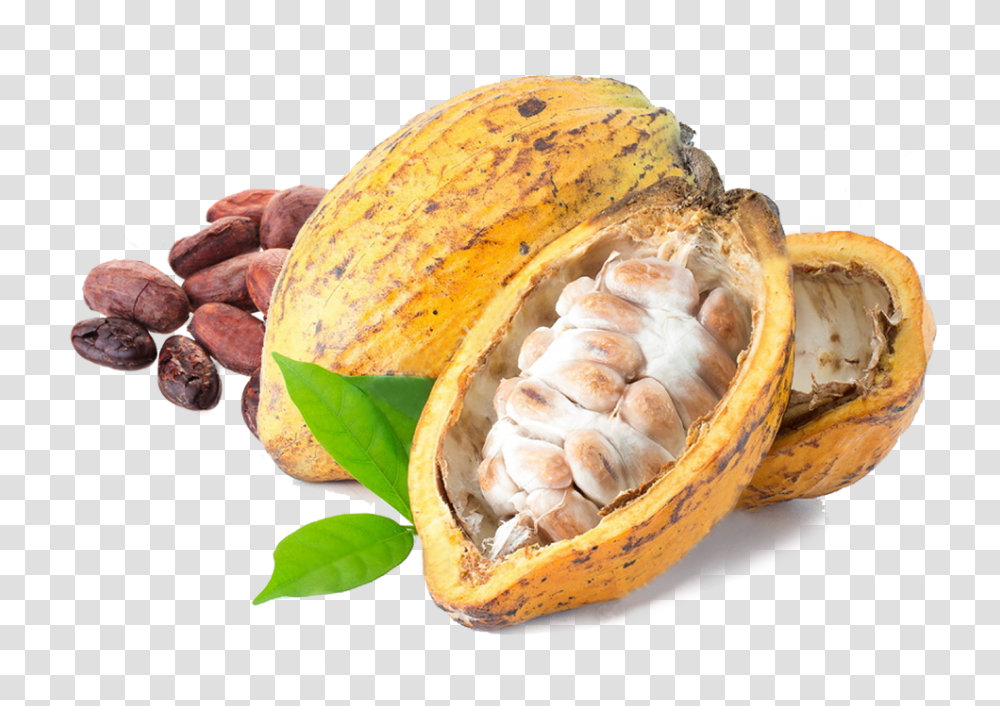Cacao, Plant, Food, Fruit, Vegetable Transparent Png
