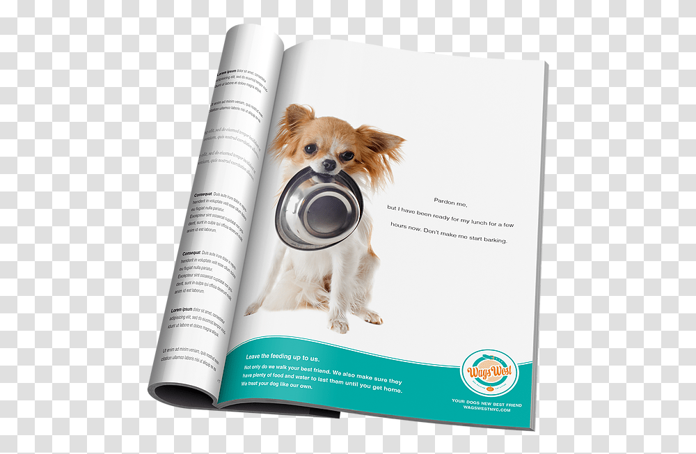 Cachorro Com Pote De Comida, Poster, Advertisement, Flyer, Paper Transparent Png
