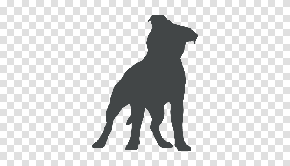 Cachorro Perro Silueta Posar, Silhouette, Dog, Pet, Canine Transparent Png
