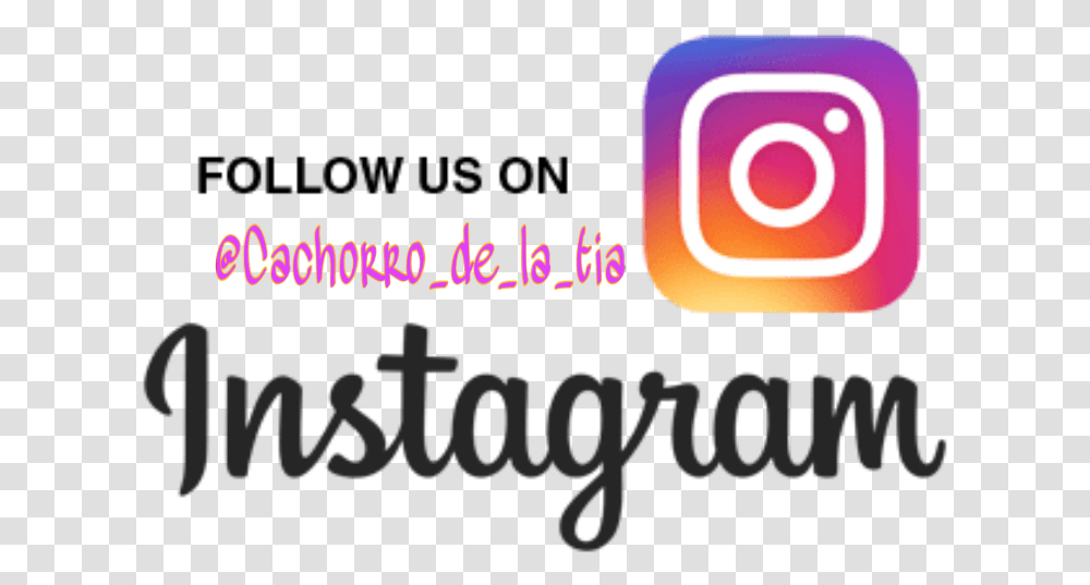 Cachorro Tijuana Freetoedit Join Our Instagram, Light, Alphabet, Poster Transparent Png