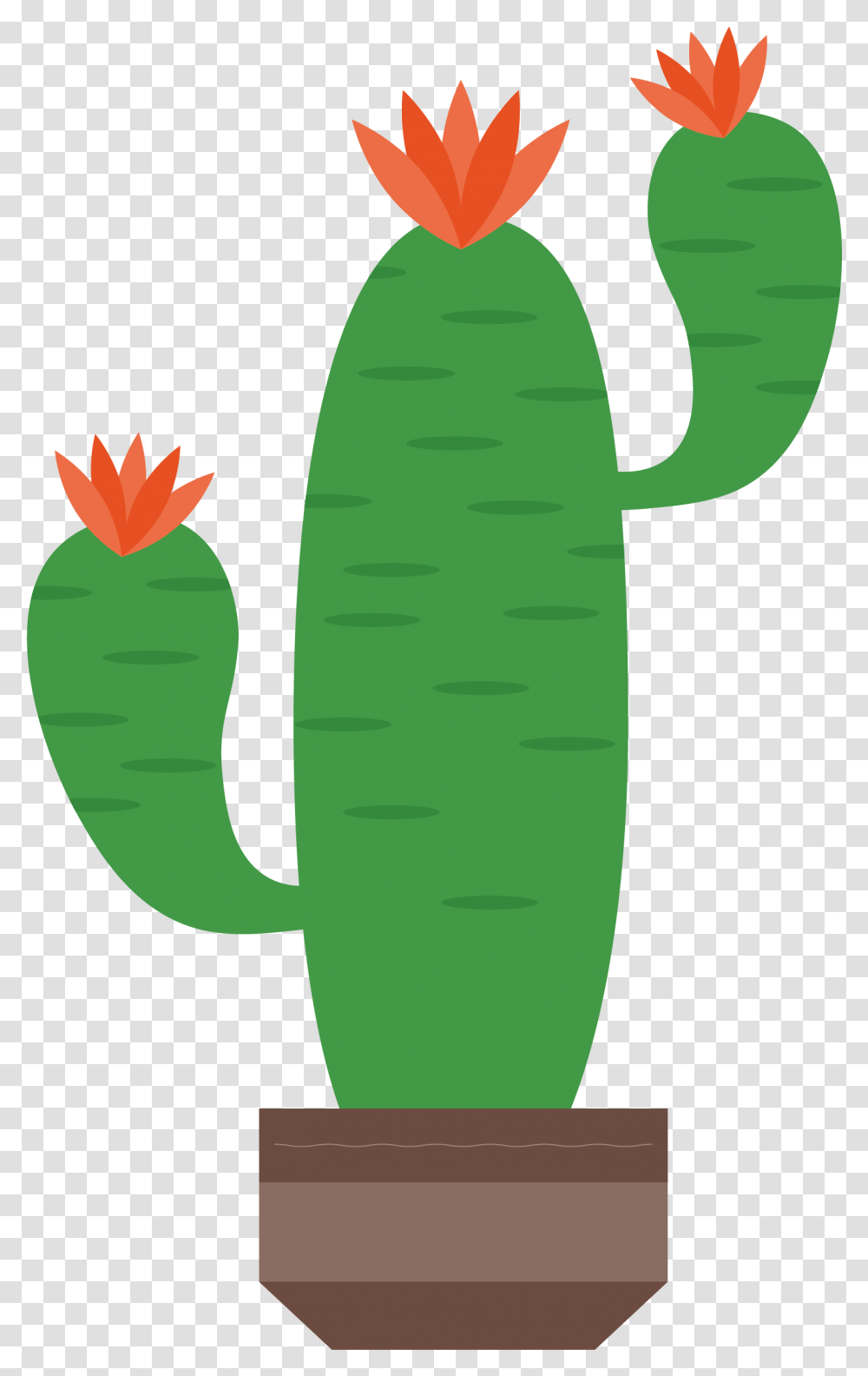 Cactaceae Artworks Illustration Flowering Cactus Clipart, Plant, Tree, Fir, Abies Transparent Png