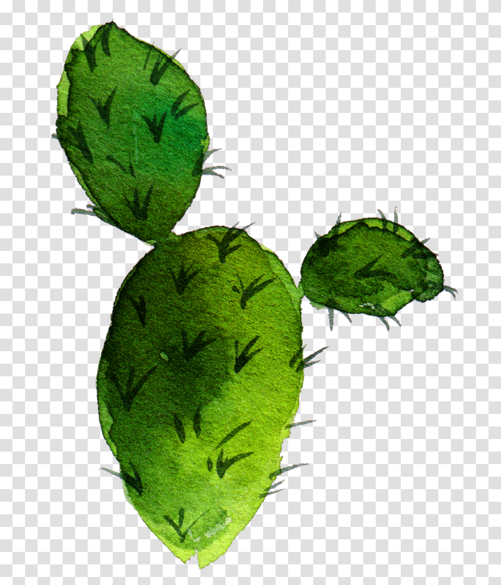 Cactaceae Barbary Fig Nopal, Leaf, Plant, Fruit, Food Transparent Png