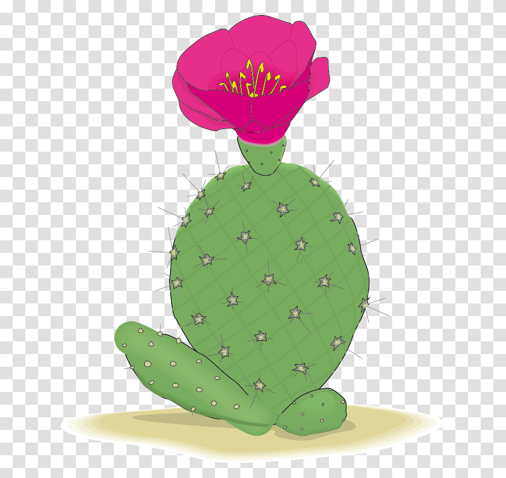Cactaceae Clip Art Cactus, Plant Transparent Png