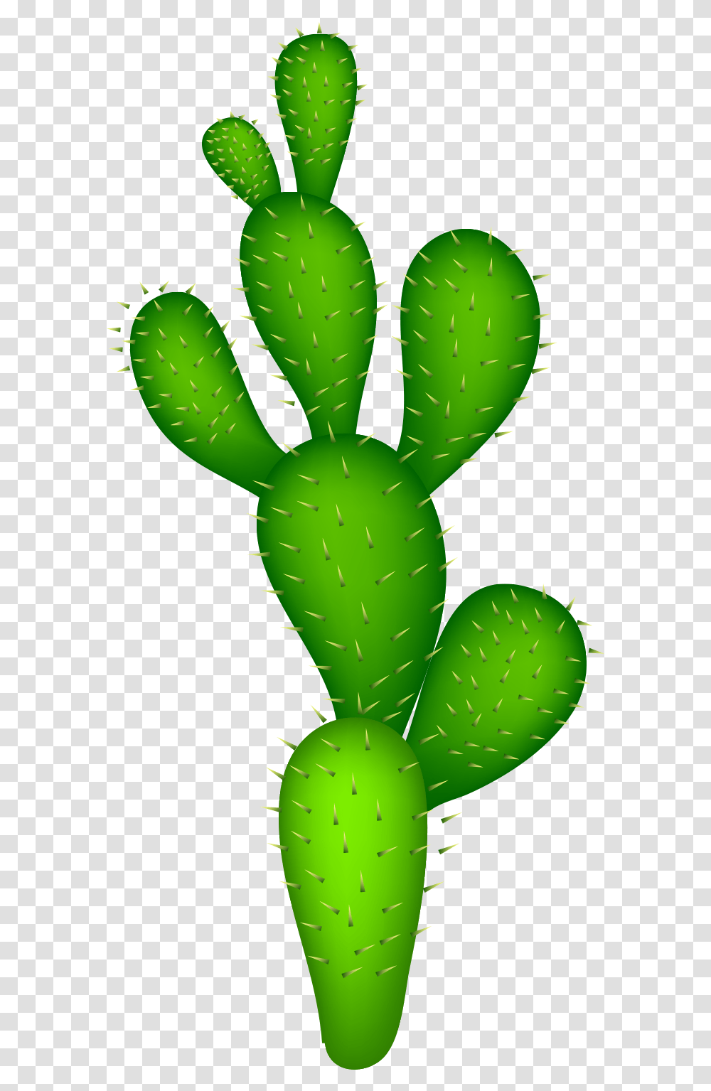 Cactaceae Clip Art, Plant, Cactus Transparent Png