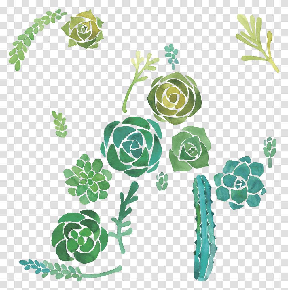 Cactaceae Watercolor Painting Succulent Plant Illustration Disegno Cactus Con Acquerelli, Green, Floral Design Transparent Png