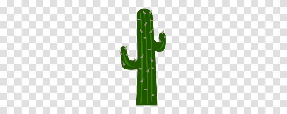 Cacti Nature, Plant, Cactus, Cross Transparent Png