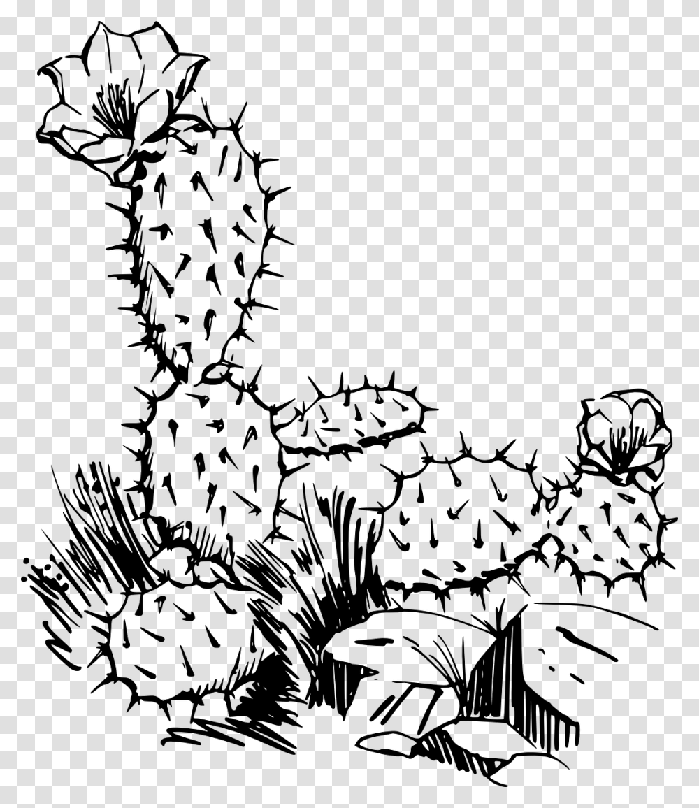 Cacti Black And White Clipart, Gray, World Of Warcraft Transparent Png