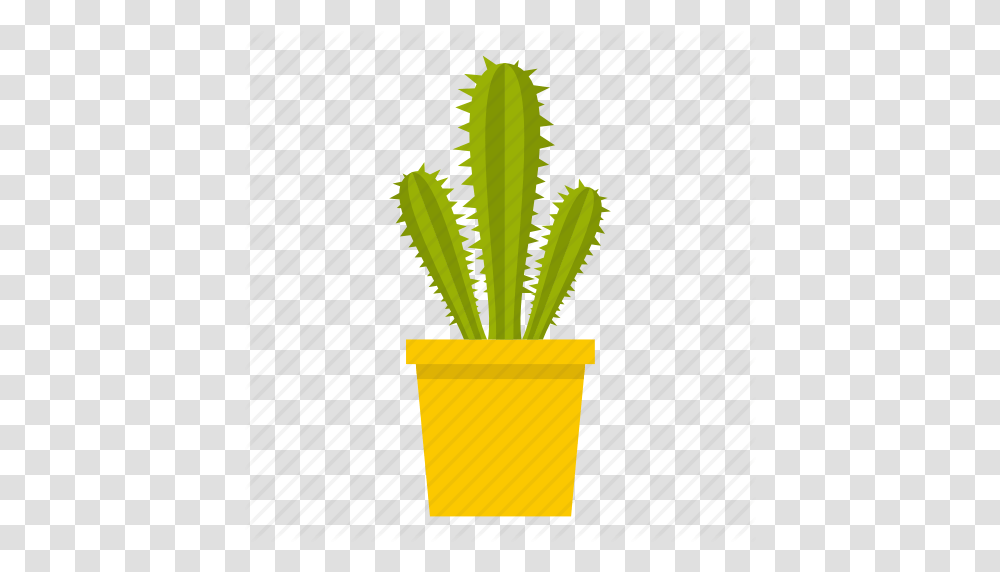 Cacti Cactus Desert Mexican Nature Plant Succulent Icon, Brush, Pot, Tabletop Transparent Png